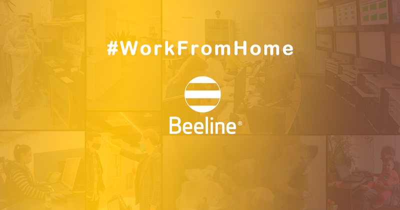 Work From Home. Beeline Հայաստանի լավագույն փորձը