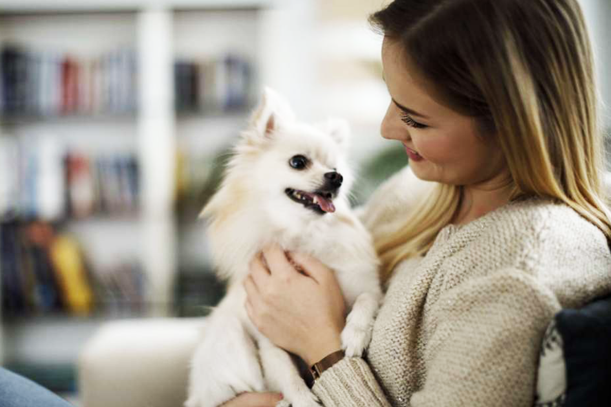 girlwithdogblog