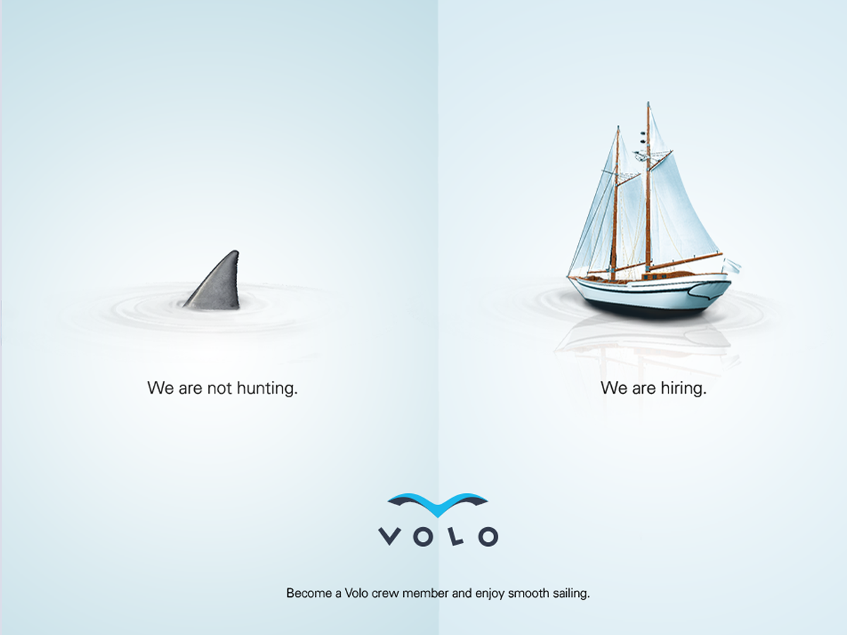 sharkvsship