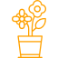 two-flowers-in-a-pot