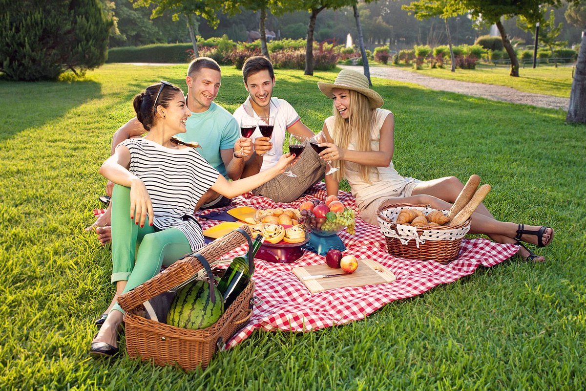TEMP-picnic